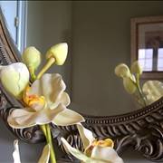 Decorative Mirror - picture